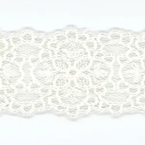 Embroidered Tulle Lace #00 Off White