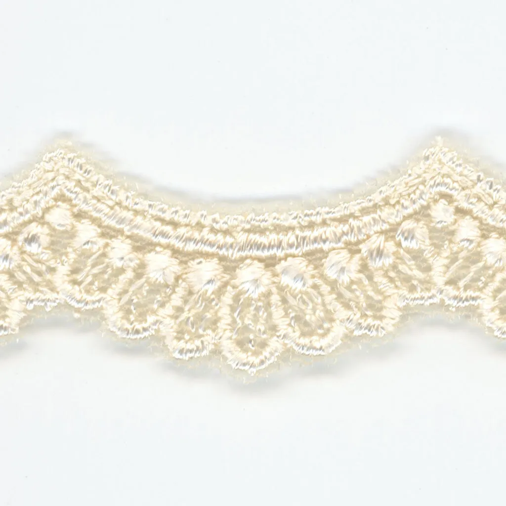 Embroidered Tulle Lace #158 Milk
