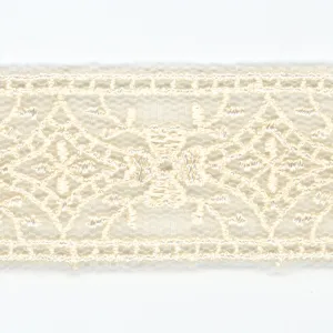Embroidered Tulle Lace #158 Milk