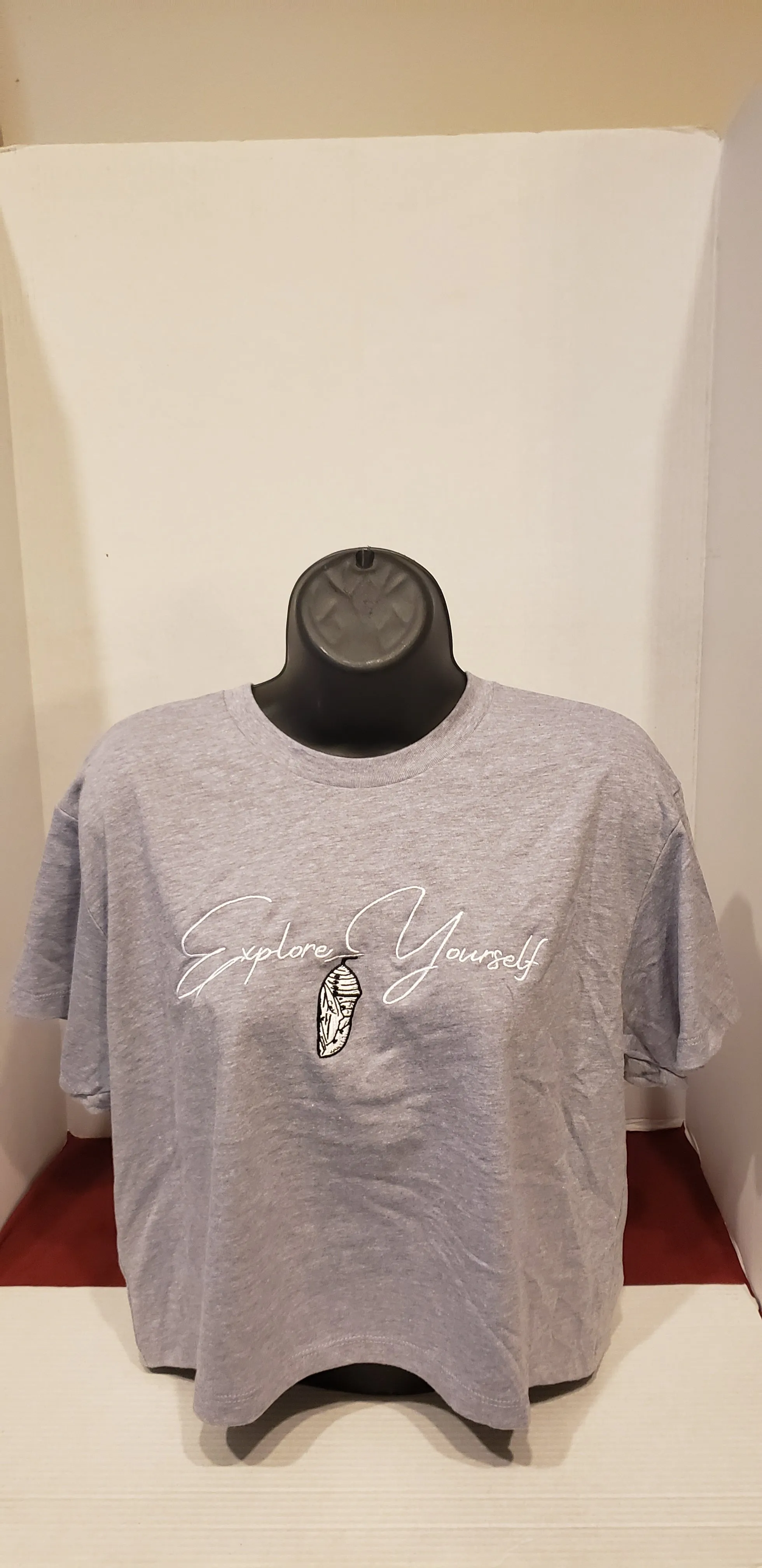 Explore Yourself Grey(Grey Storm)Crop Tee