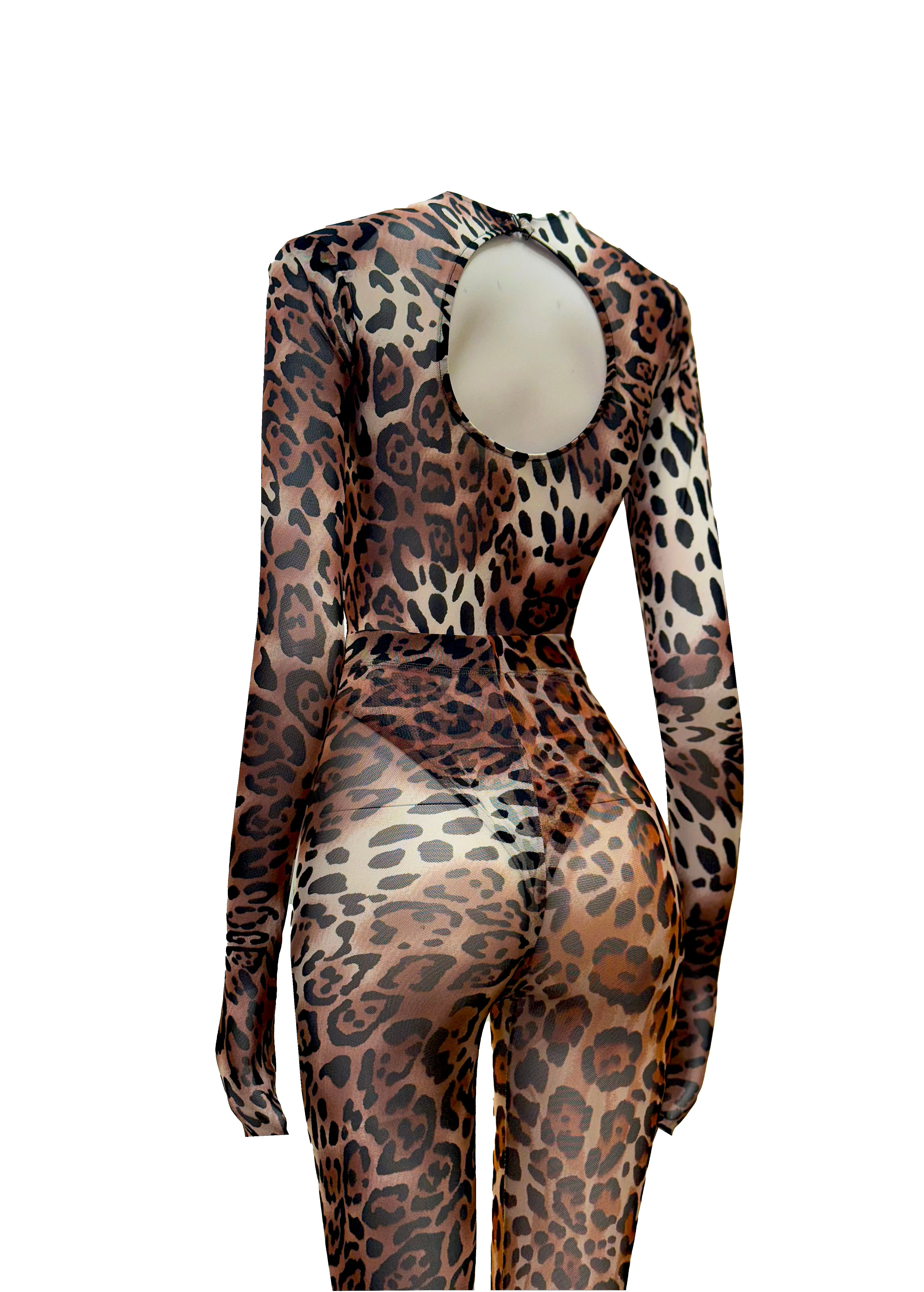 Jaguar Abstract Set