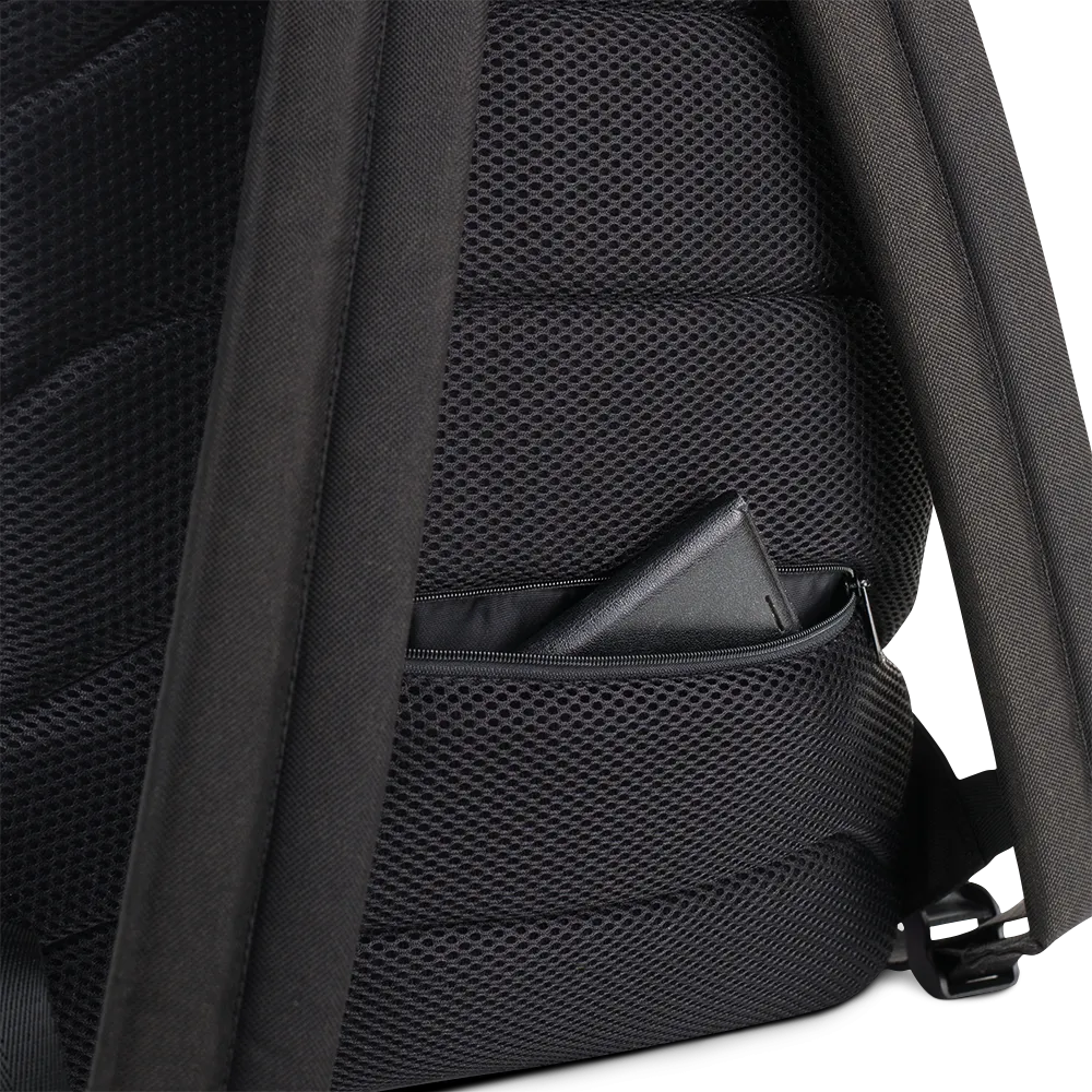 Stash Me® Snow Backpack